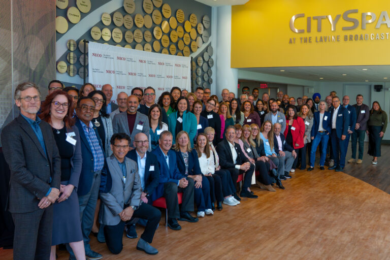 NECO-Industry-Collab-2025-QA-12