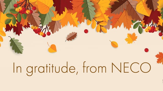 vimeo placeholder image